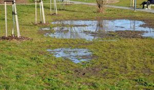 How to repair your Garden After Heavy Rainfall