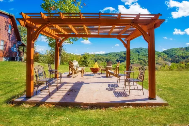 The Best Plants for Decorating Pergolas